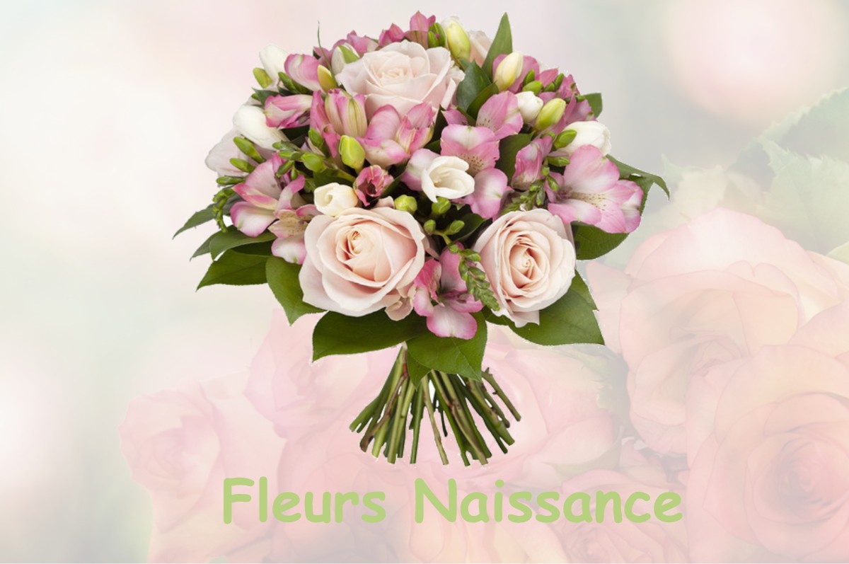 fleurs naissance HASTINGUES