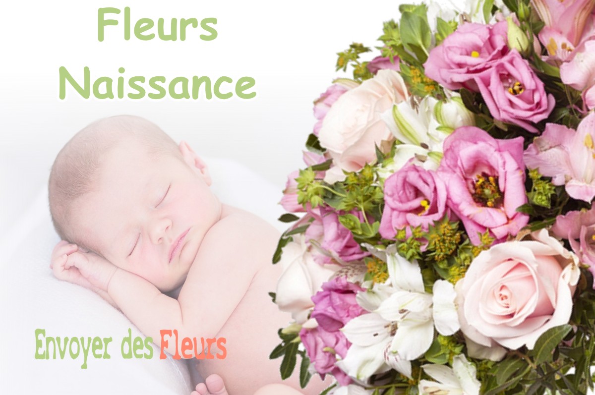 lIVRAISON FLEURS NAISSANCE à HASTINGUES